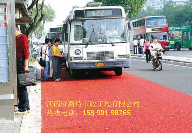 bus4.jpg
